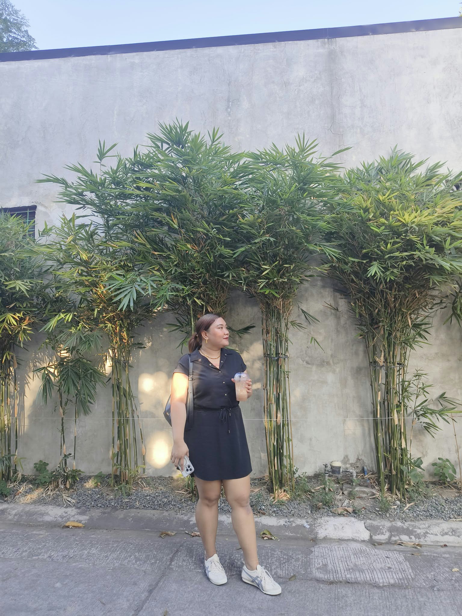 Ivy standing beside tall green plants