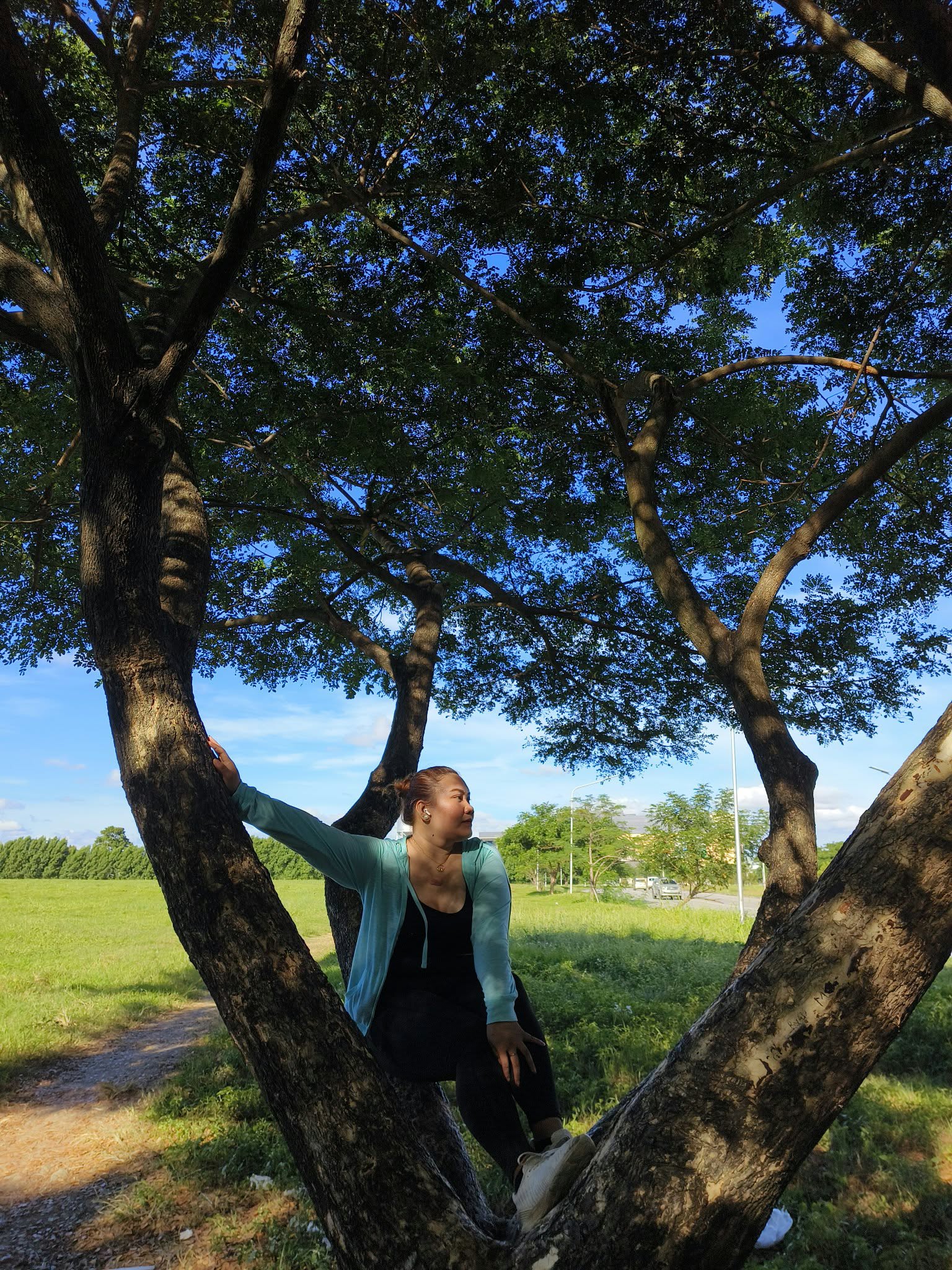 Ivy sitting among trees in an open green space